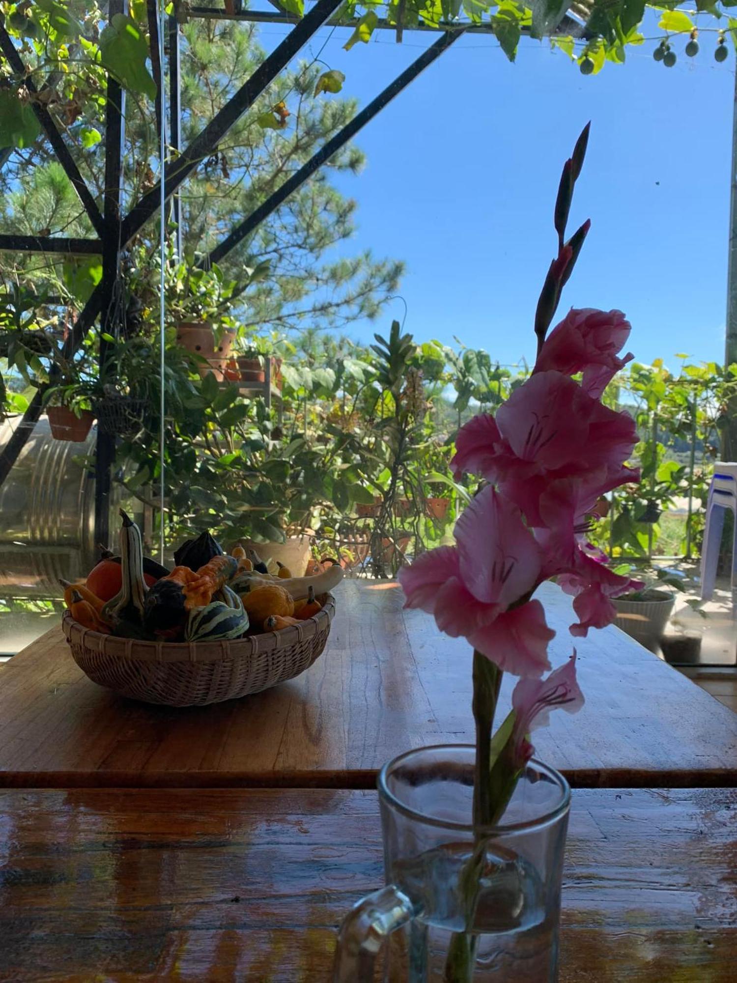 Vuon Cua Me Bed & Breakfast Da Lat Exterior photo